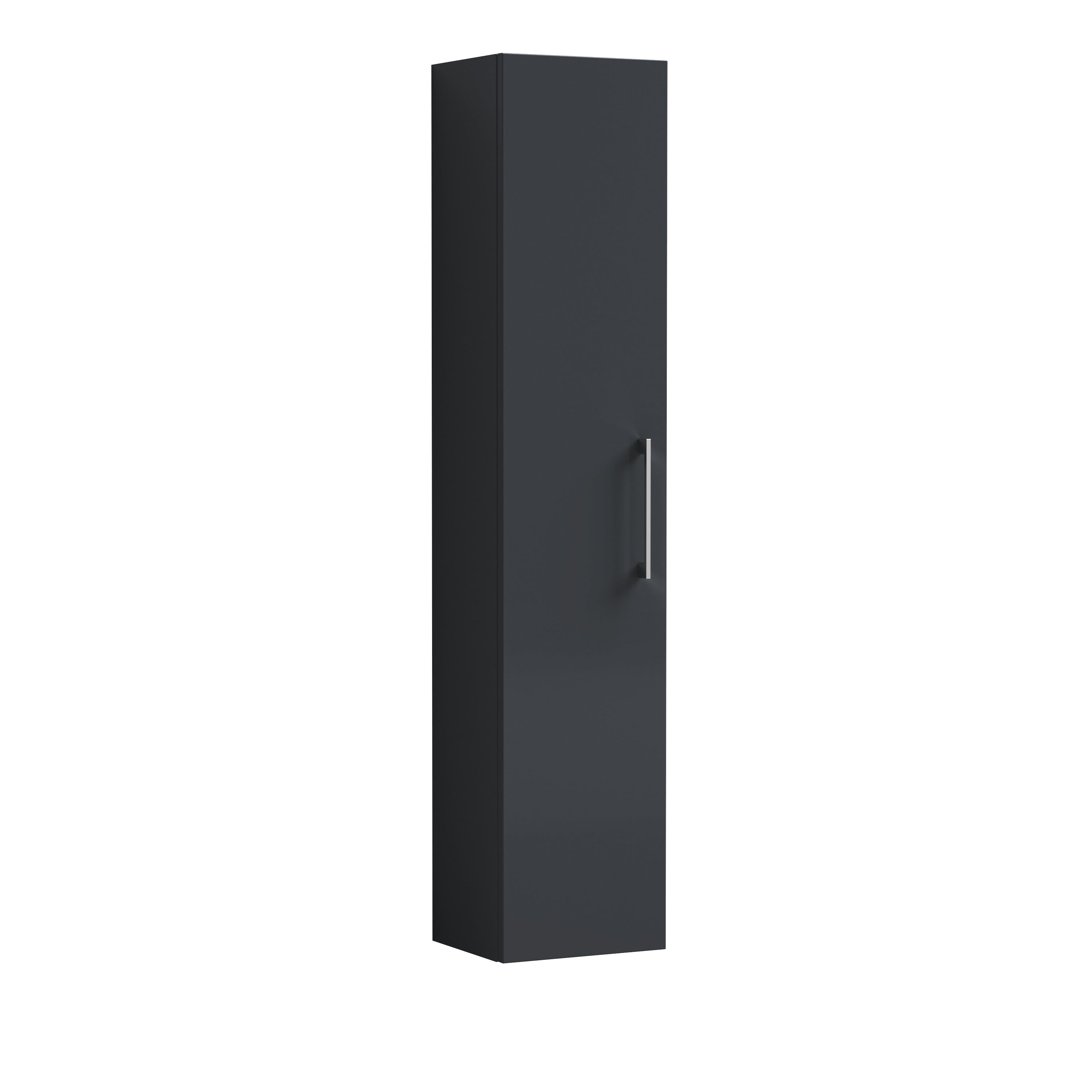 Wall Hung Tall Unit 1 Door 300mm