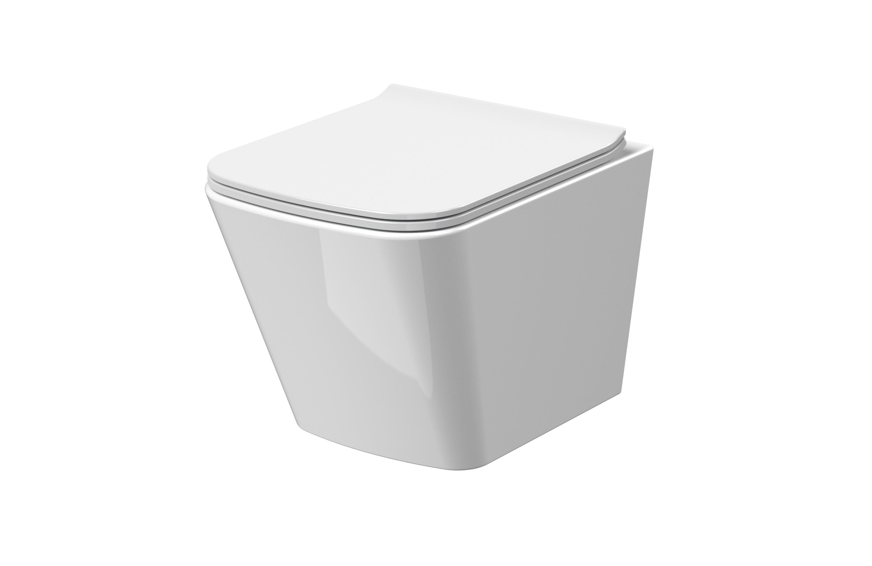 Rimless Wall Hung Pan & Seat