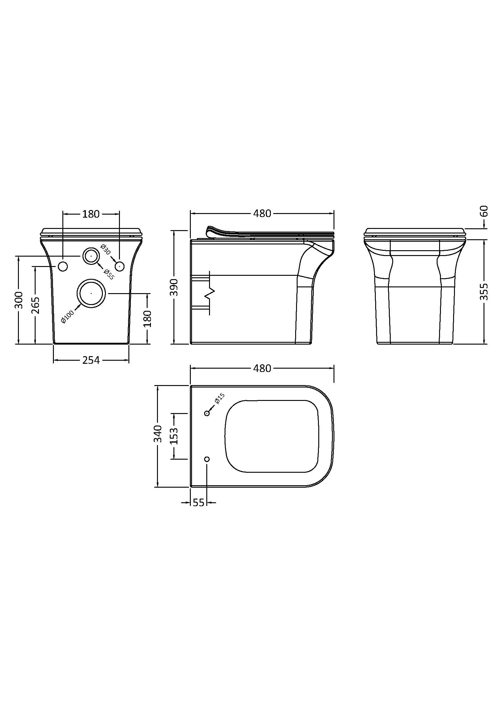 Rimless Wall Hung Pan & Seat