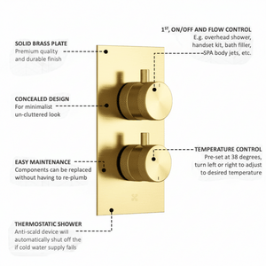 ARKO Round Concealed Thermostatic Shower Mixer 2 Dial Twin Head with Valve, Handset & Shower Waste – Brass